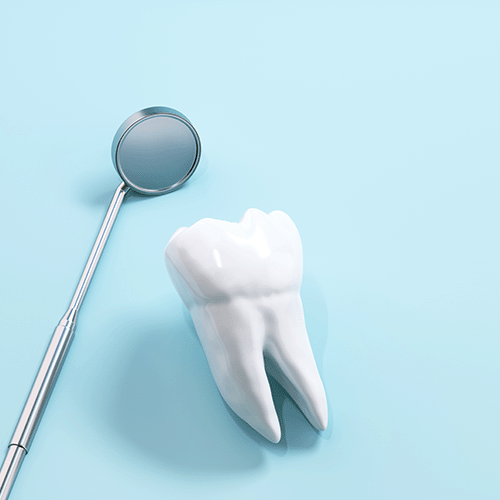 tooth